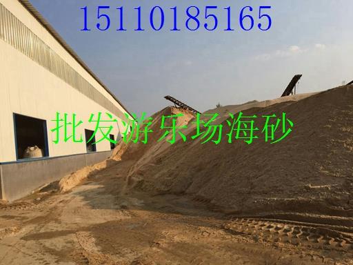 批发室内游乐园用天然海沙 圆粒沙 精致白沙